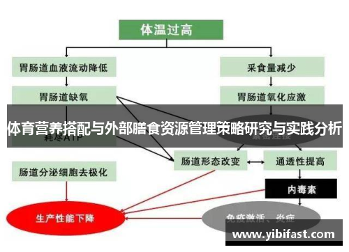 体育营养搭配与外部膳食资源管理策略研究与实践分析